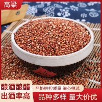 高粱 源頭廠貨批發(fā)帶皮高粱 未脫皮信鴿飼料原料紅高粱 釀酒釀醋